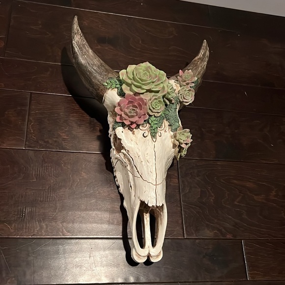 Resin skull and succulents 18” EUC - Picture 2 of 9